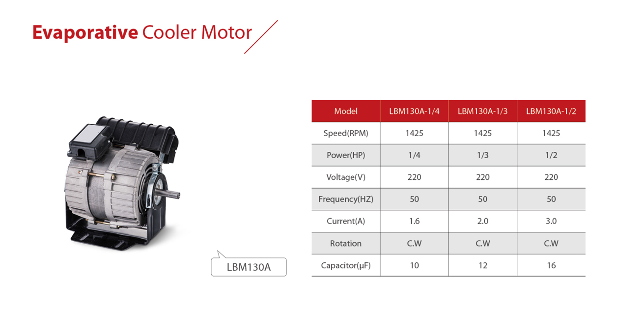 Air Cooler Motor